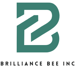 brilliancebee brilliancebee